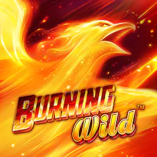 Burning Wild