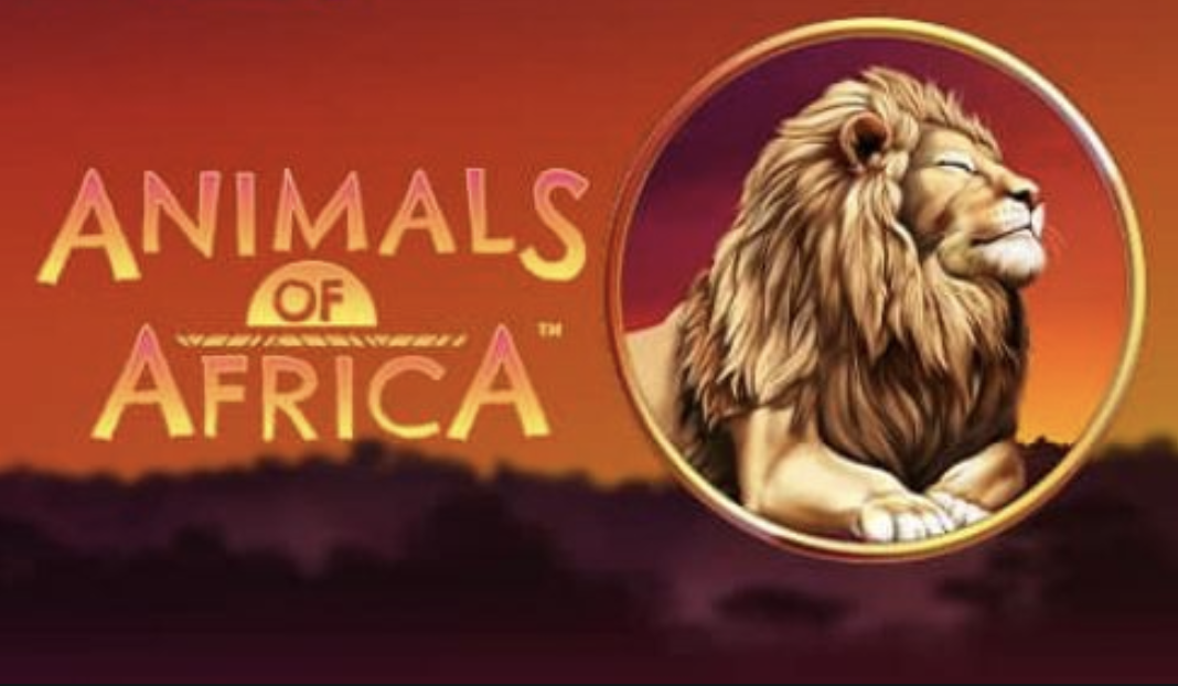 Animals of Africa