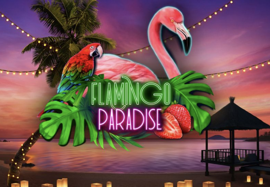 Flamingo Paradise