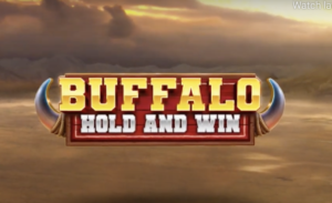 Buffalo: Hold & Win Booming Games
