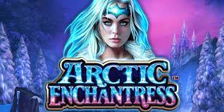 Arctic Enchantress