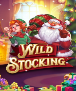 Wild Stocking Stakelogic
