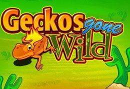Geckos Gone Wild
