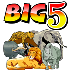 Big 5