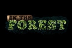 In the Forest