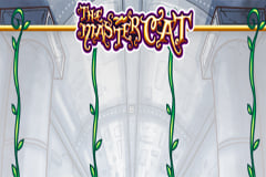 The Master Cat